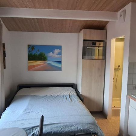 Rue Du Vieux Chateau - Beau F2 Mentona Zewnętrze zdjęcie